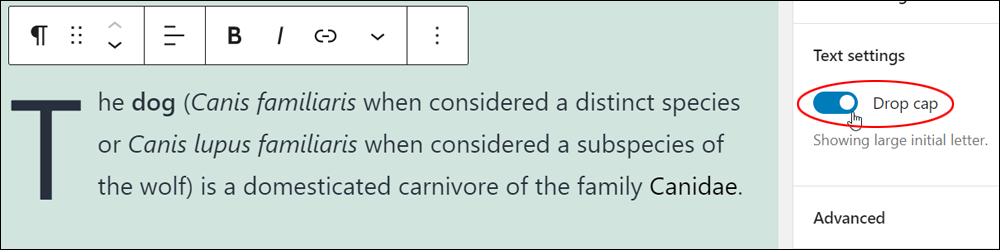 Paragraph block: Text settings - Drop cap.