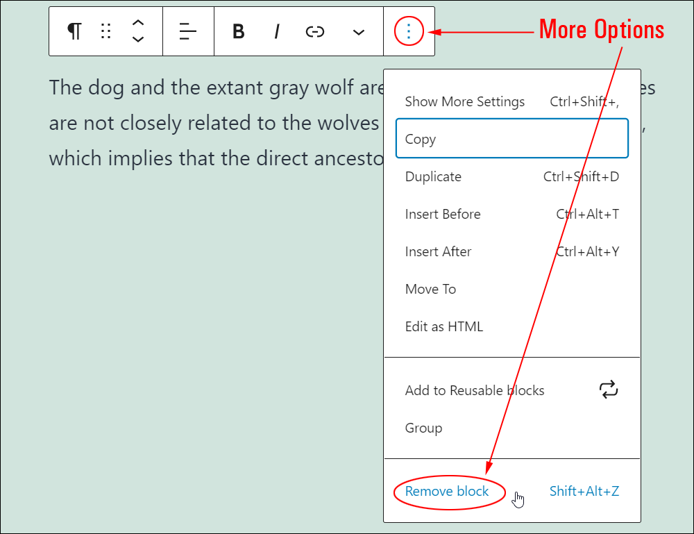 Paragraph block: More Options menu - Remove block.