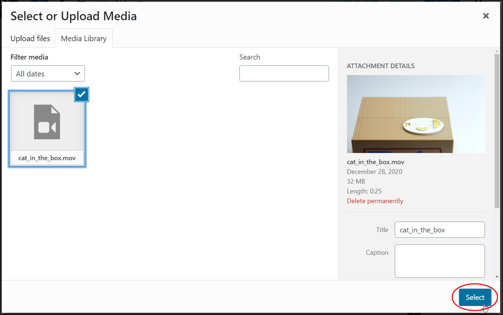 WordPress Media Library - Selecting a video.