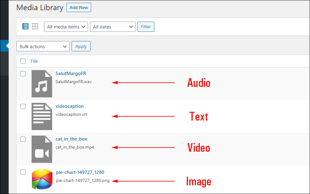 File Types