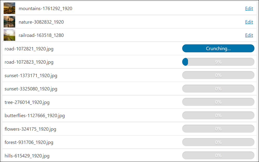 Upload New Media Screen - Upload progress bar.