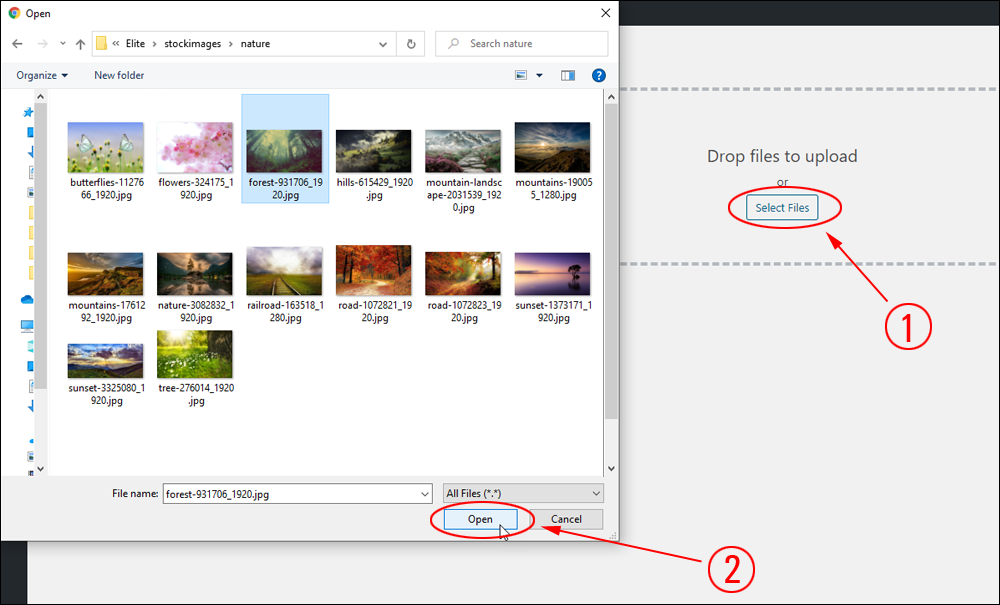 Upload New Media screen - Select Files button.