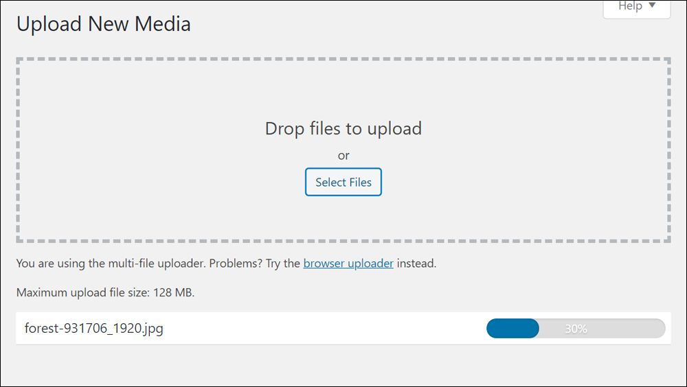 Upload New Media screen - Media file uploading.