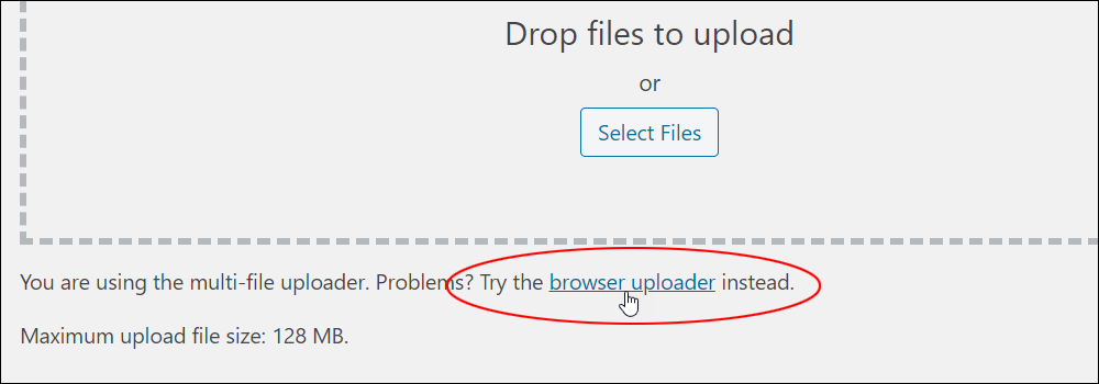 Upload New Media screen - Browser Uploader.