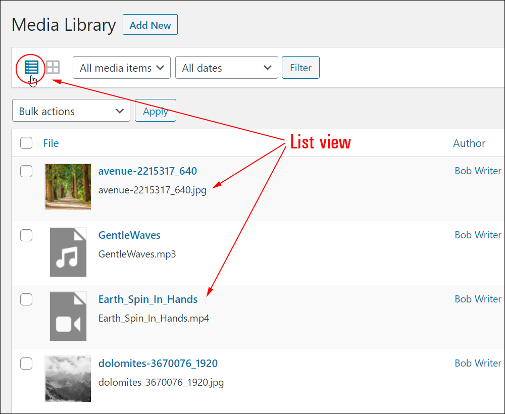 Media Library - List view.