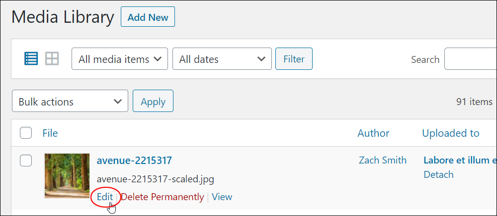 WordPress Media Library - Edit link.