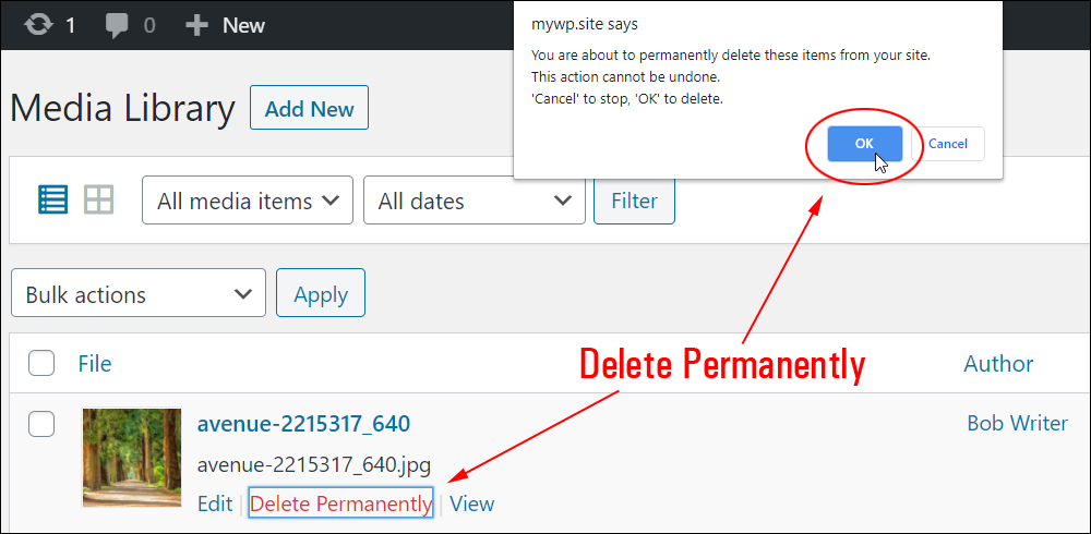 Media file deletion confirmation window.