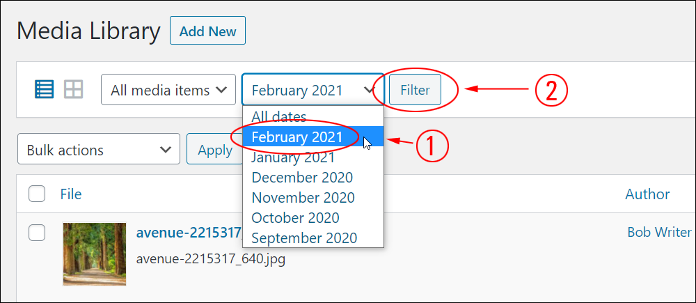 Media Library filtering options.