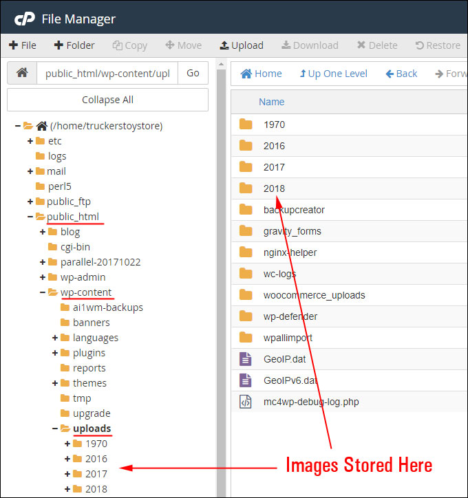 cPanel File Manager