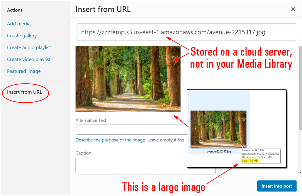 WordPress Media Library: Add Media tool - Insert from URL