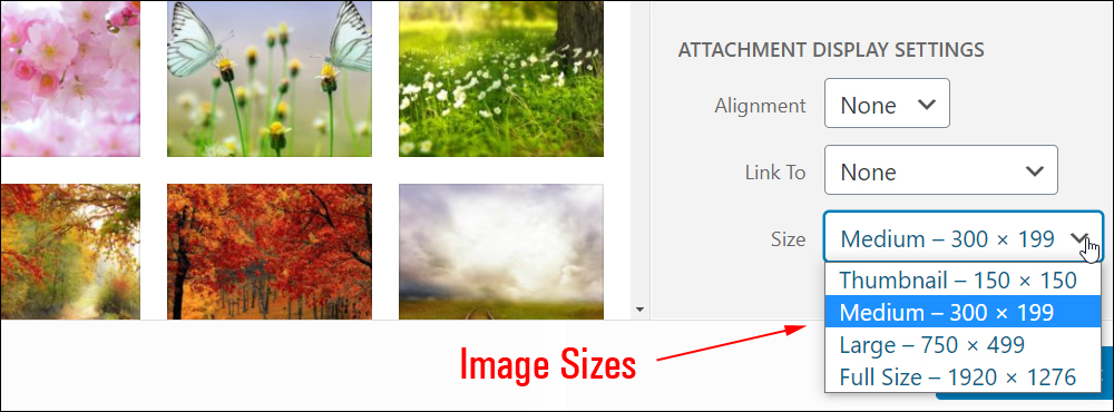 WordPress Media Library - Image Sizes