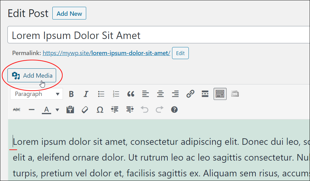 WordPress Classic Editor - Add Media button.