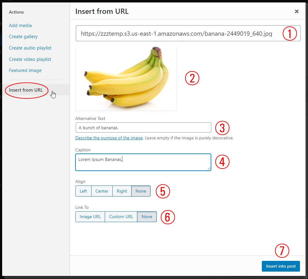 Insert from URL screen - screen options.