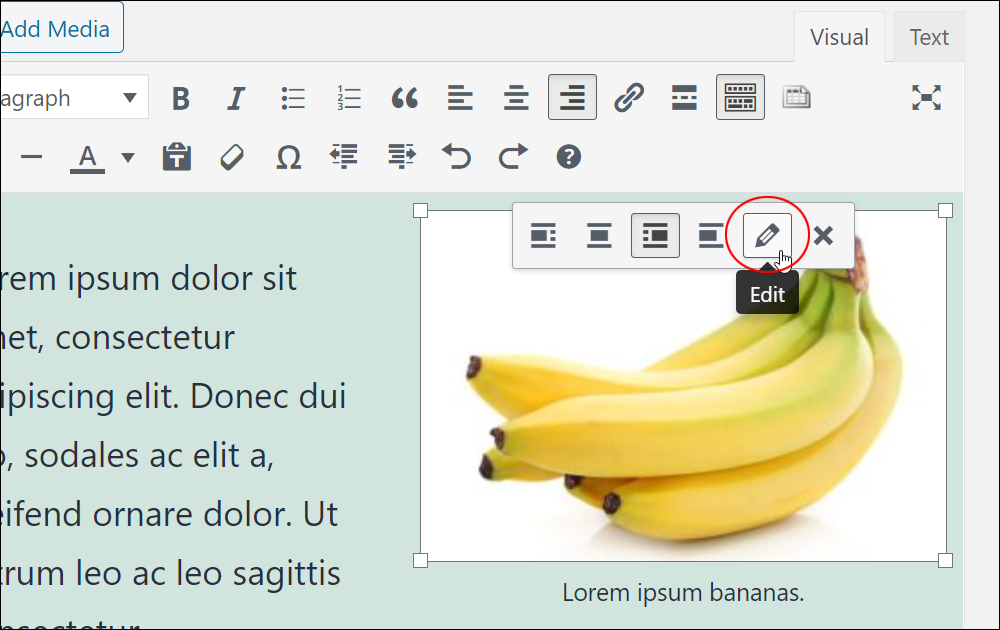 Image editing menu - Edit icon.