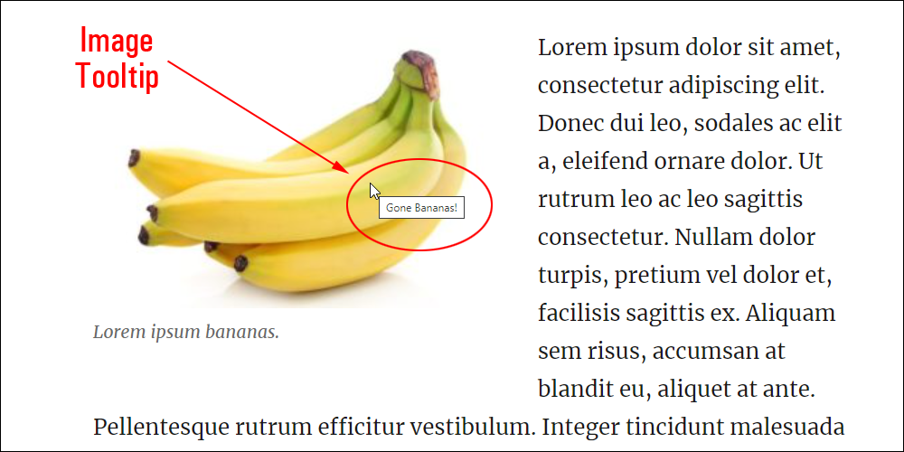 Image Tooltip.