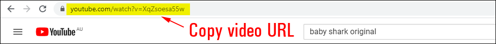 YouTube video URL highlighted in web browser.