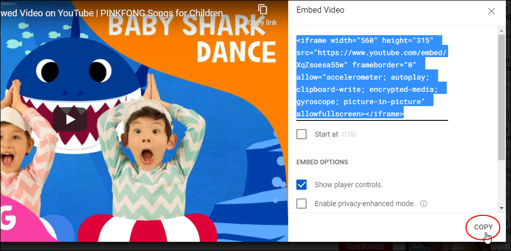 YouTube Embed video code highlighted.