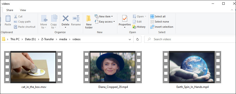 Computer folder with video files.