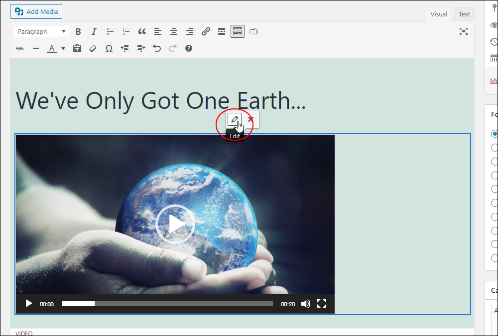 WordPress Classic Editor - Edit video button.