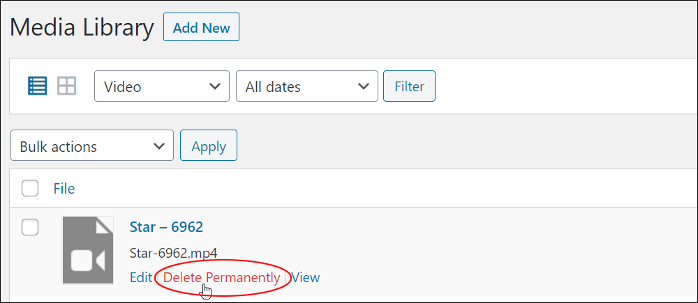 Media Library: List View - Delete Permanently link.