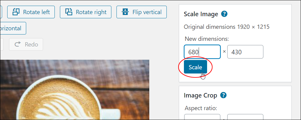 Scale Image button.