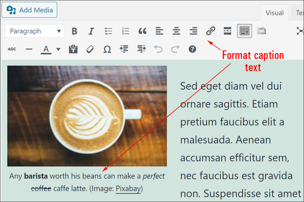 Post screen - formatting caption text using the Classic content editor.