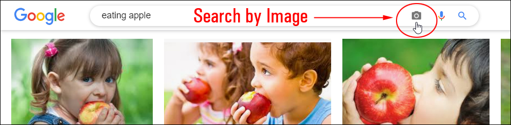 Google's Search by Image tool