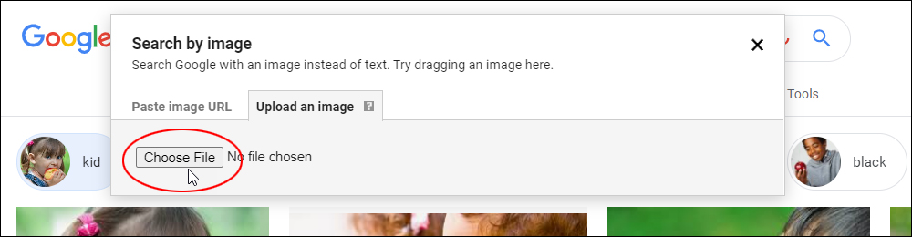 Google Search by Image tool - Choose File button.