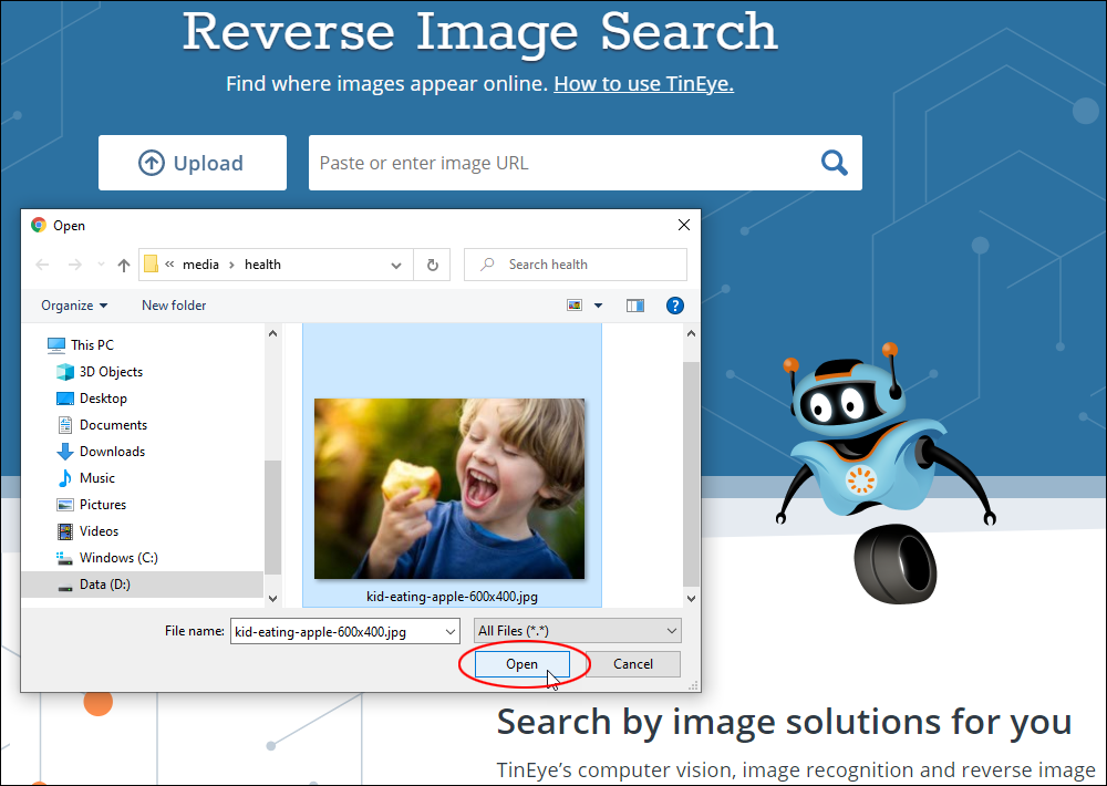 TinEye Reverse Image Search