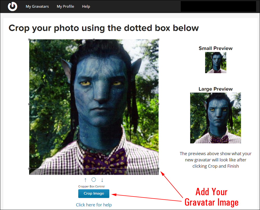 Crop your Gravatar image.