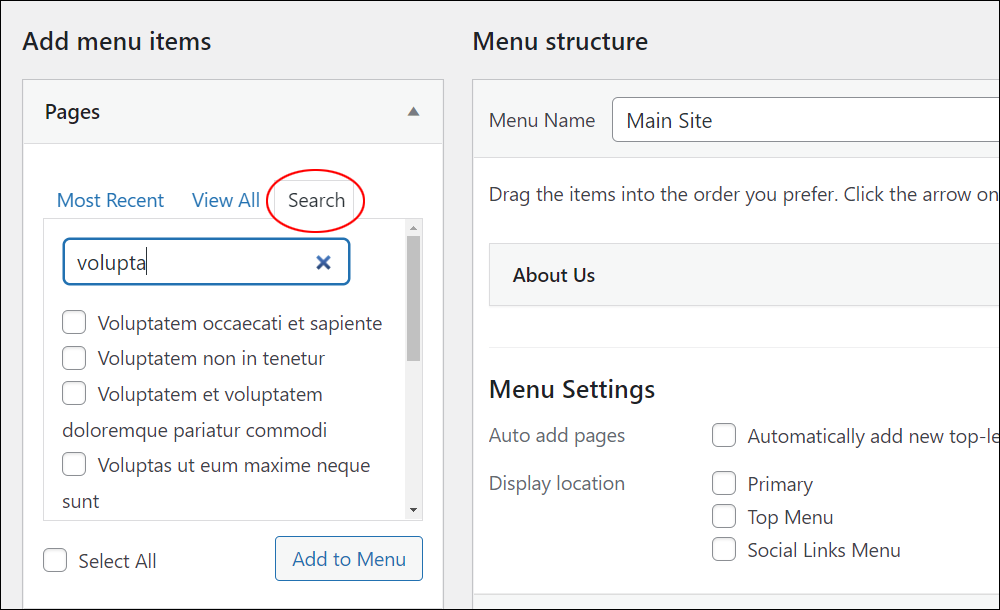 WordPress Menus screen: Add menu items- inline Search tab.