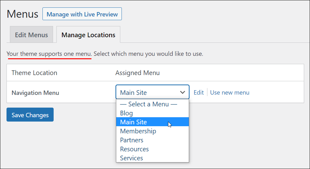 WordPress Menus screen - Manage Locations tab - Single menu location theme.