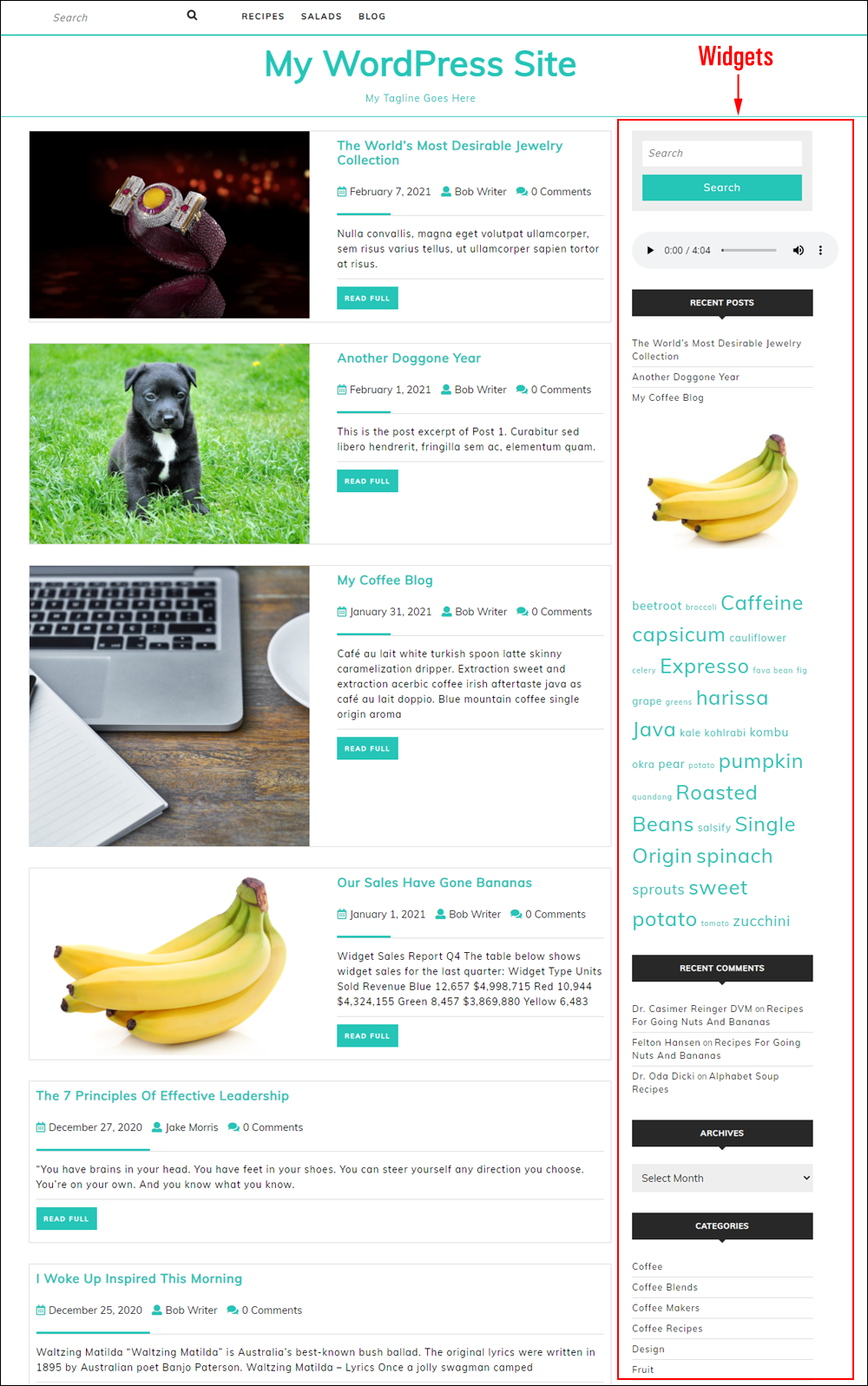 WordPress blog with widgets section.