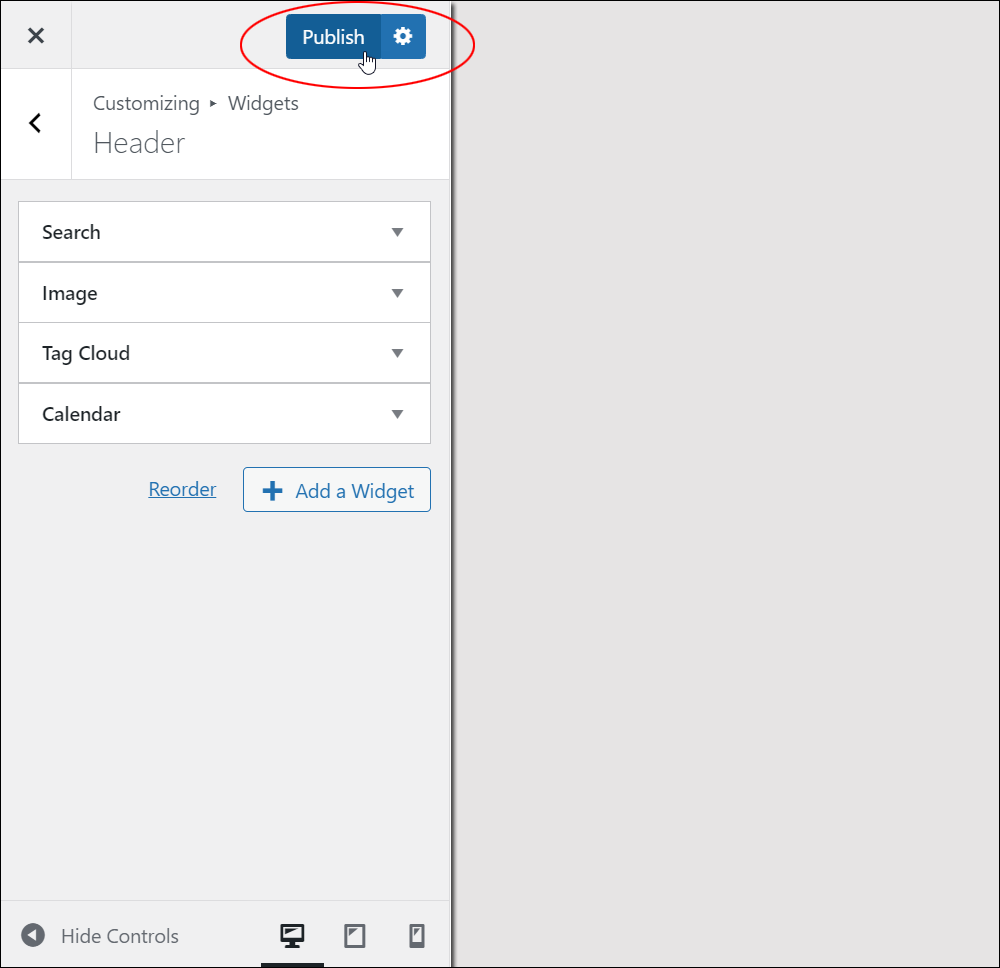 WordPress Theme Customizer: Widgets - Publish button.