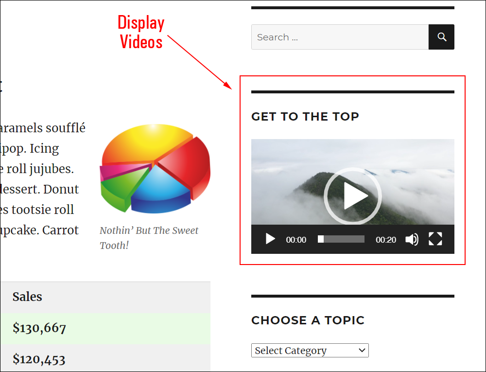 Video added to WordPress site sidebar using the video widget.