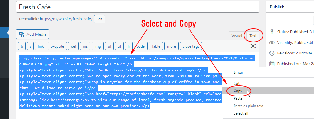 WordPress Post Editor: Text tab - Select and copy the content to your clipboard.