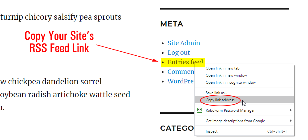 Meta widget - Entries feed link.