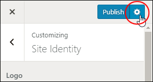 Click the gear icon to access additional theme publishing settings.