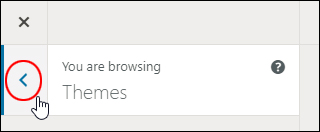 Click on the arrow to exit a Theme Customizer section.