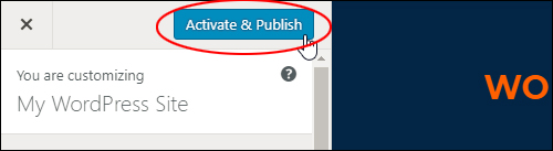 Click 'Activate & Publish' to change themes.