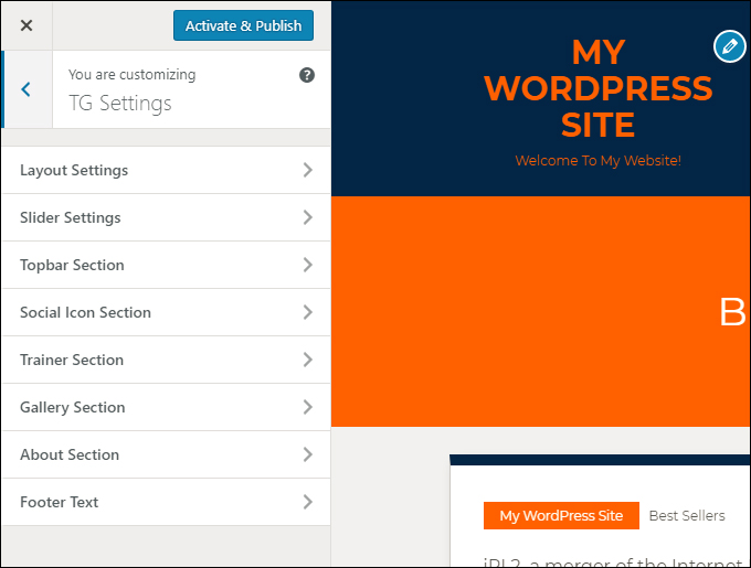 WordPress Theme Customizer - Custom theme settings and options.