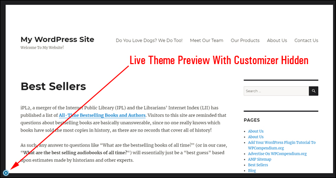 Live Preview screen with Theme Customizer hidden.