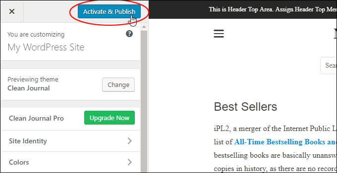 Click Activate & Publish to change your active WordPress theme.