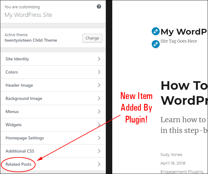 WordPress Theme customizer - New menu added by plugin.