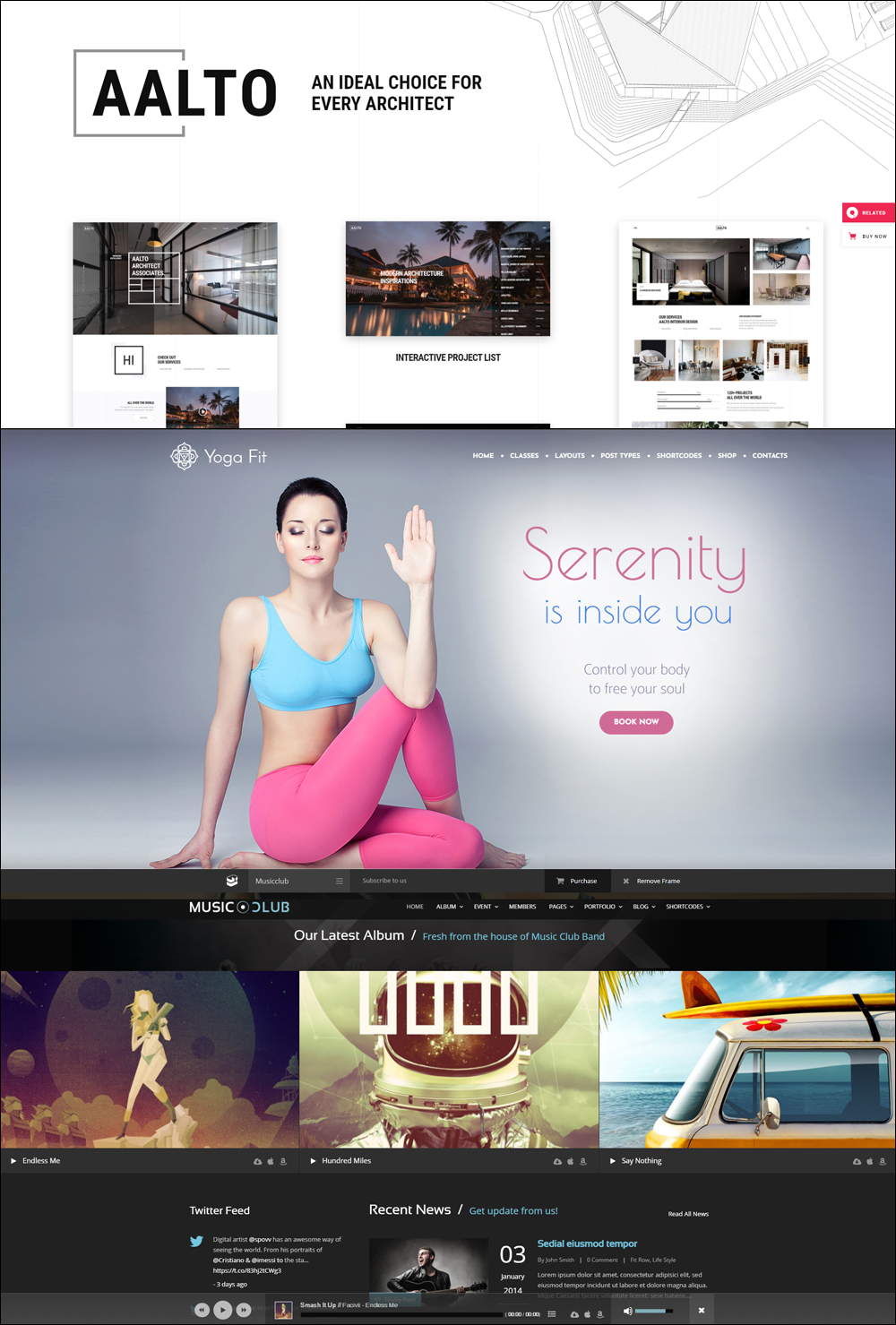 ThemeForest theme examples.