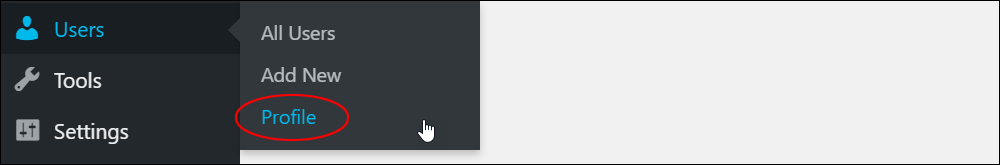 WordPress Users - Your Profile menu.