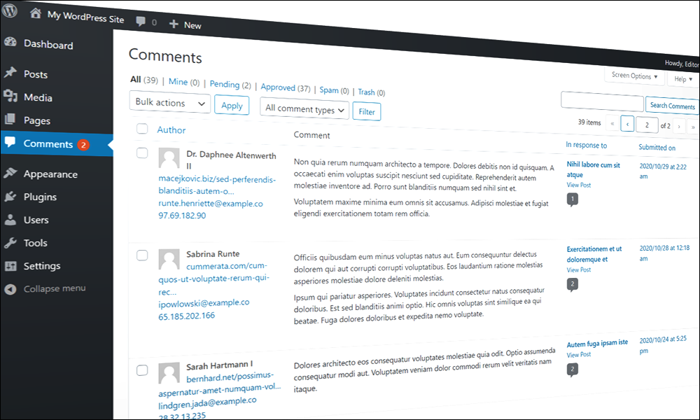 WordPress Comments screen.