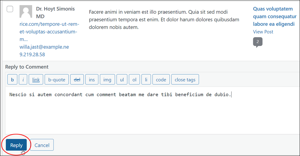 WordPress Comments reply editor.