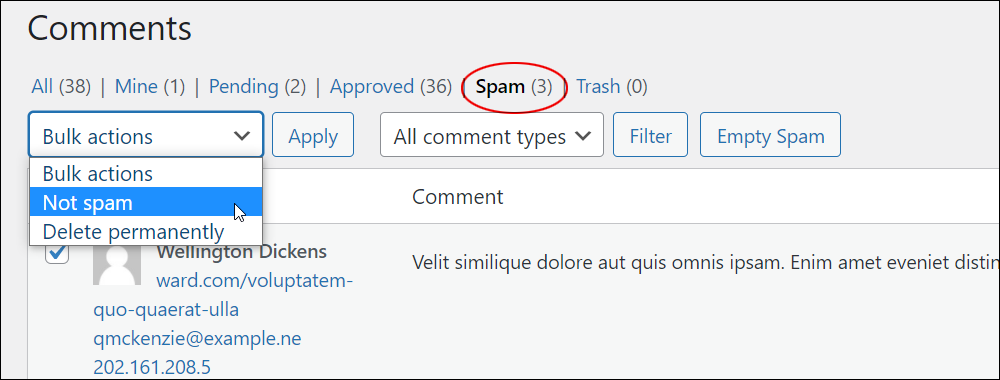 WordPress Comments screen: Spam comments status - Bulk edit menu.