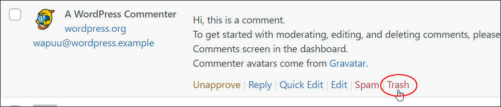 WordPress comments - Trash link.